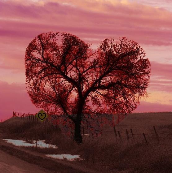 Мельпаре Синанова | Симферополь