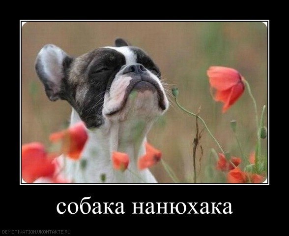 Юля Капелюшок | Киев