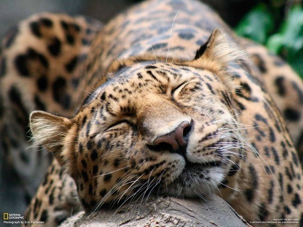 №169, Наталья Туманова, Трехгорный №169, Наталья Туманова, Трехгорный