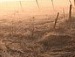 Вера Бузолина фотография #43