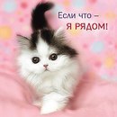 Фотография Лола Моллаходжиева