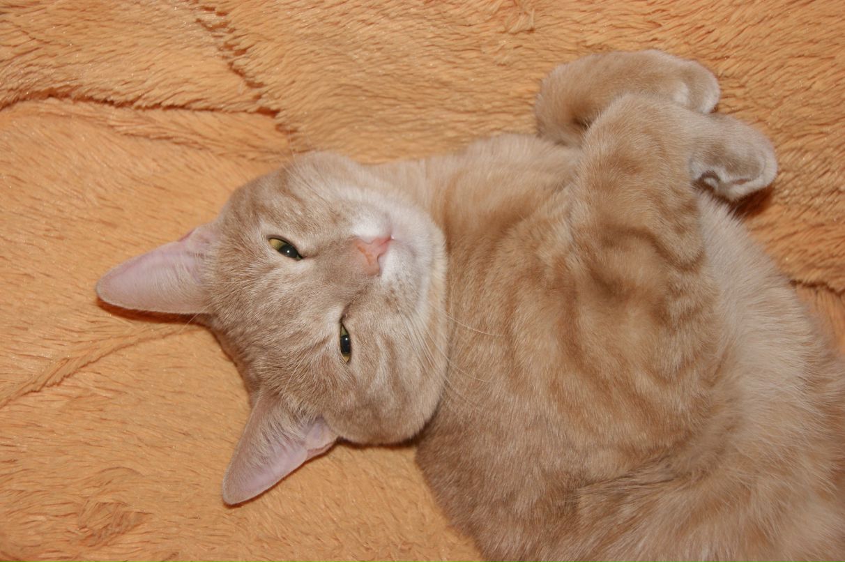 Валентина Агафонова | Приаргунск