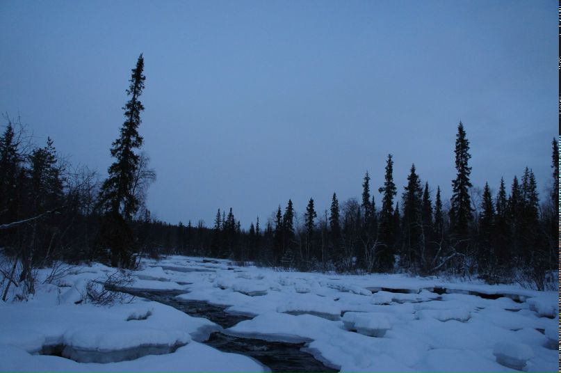 Радик Сафин | Мурманск