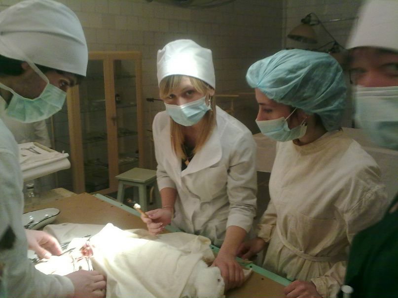 Амир Малиев | Курск