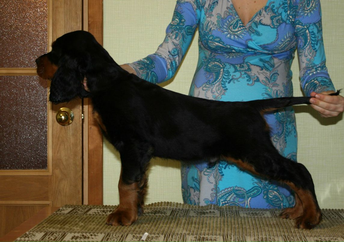 Екатерина Шалыгина | Санкт-Петербург