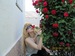 Ирина Дагаева фотография #33