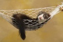 Фотография Климовой Марии