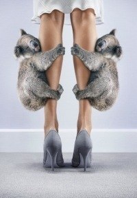 Lesik Agresik | Ужгород