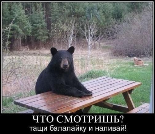 Михаил Агафонов | Санкт-Петербург