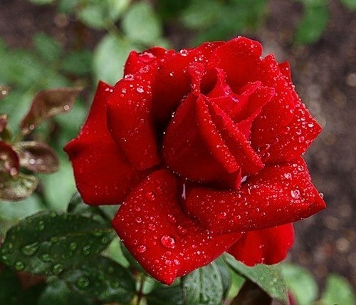 Женя Федотов | Одесса