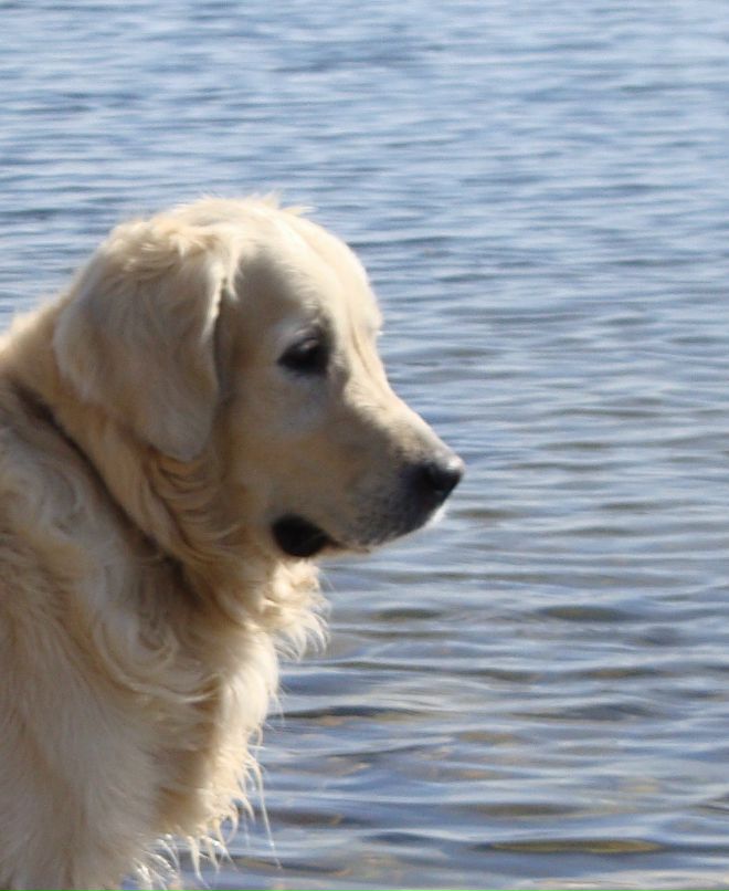 Анюта Нота | Красноярск