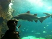 №13 Михаил Сергеев 11.03.1982: профиль, фото, статус - ВКонтакте