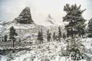 Алексей Колпашников, Санкт-Петербург, Россия, 