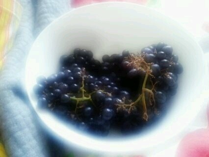 №131, Анна Сухвалова, Красноярск №131, Анна Сухвалова, Красноярск