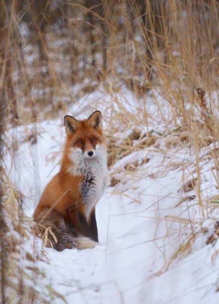 №56, Maxim Gusev, Харьков №56, Maxim Gusev, Харьков