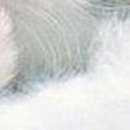 №116, Виталина Мач, Харьков №116, Виталина Мач, Харьков