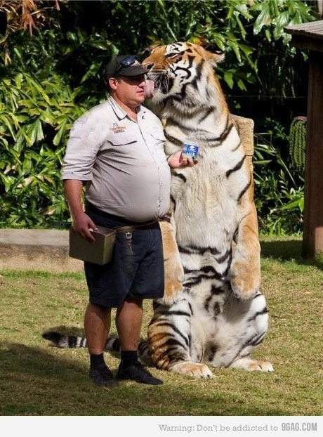 Samuel Gonzalez Barcenas | León