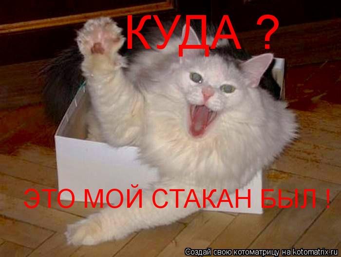 Яна Ветрова | Одесса