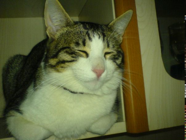 №64, Yusif Qurbanov, 31 год, Баку №64, Yusif Qurbanov, 31 год, Баку