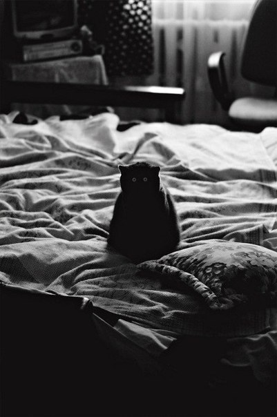 Иван Мальцев | 