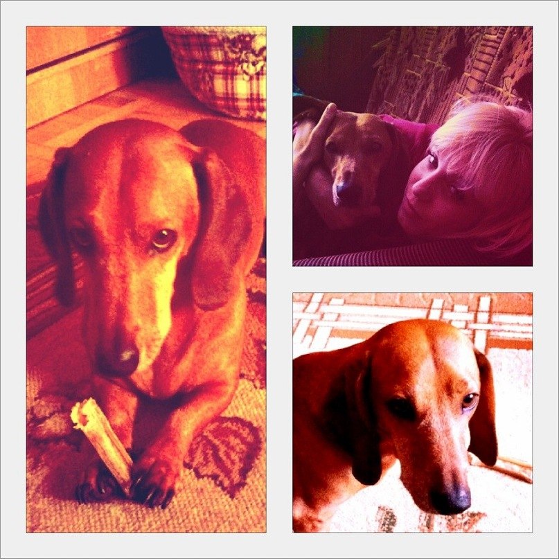 Юля Феськова | Краснодар