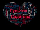 №14 Гульчин Садигова