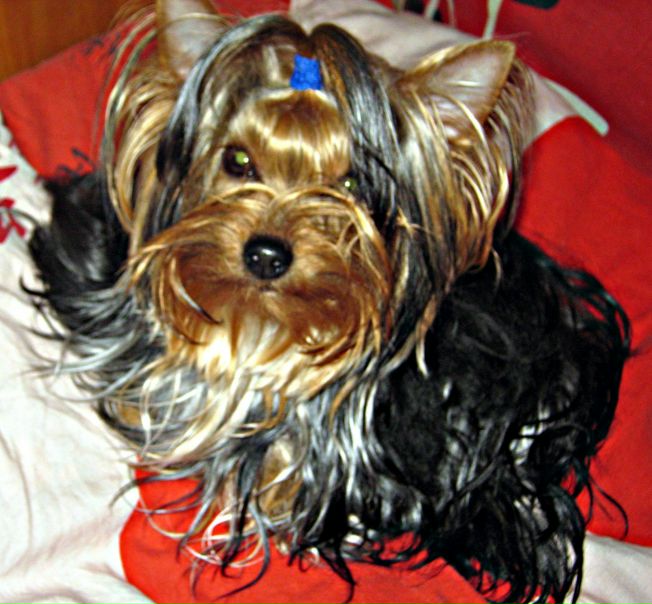 №64, Елена Васильева, 40 лет, Таллин, Эстония №64, Елена Васильева, 40 лет, Таллин, Эстония