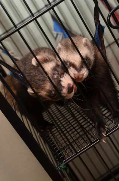 №137, Анастасия Коровайцева, Москва, Россия №137, Анастасия Коровайцева, Москва, Россия