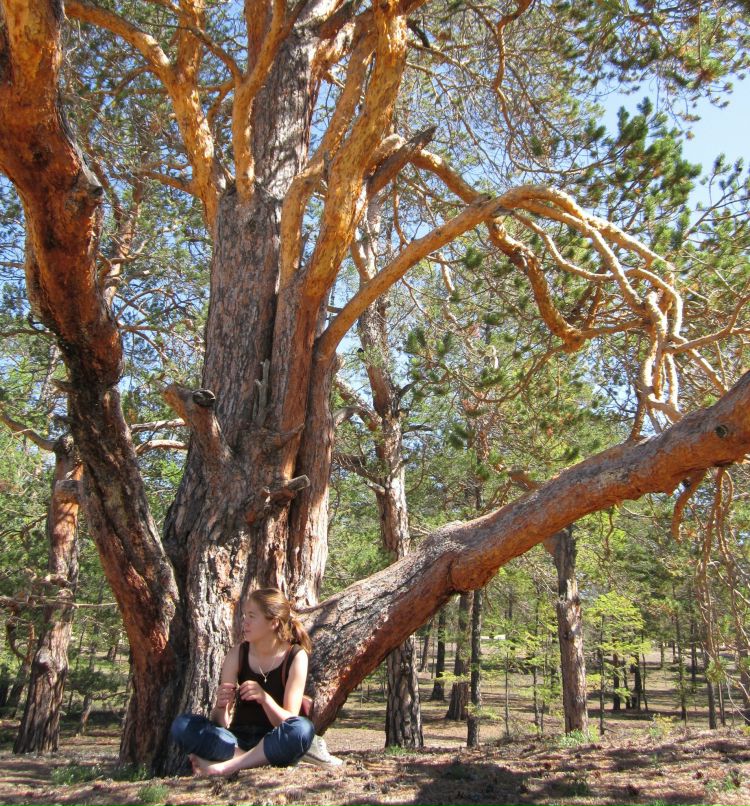 Вера Попова | Калининград