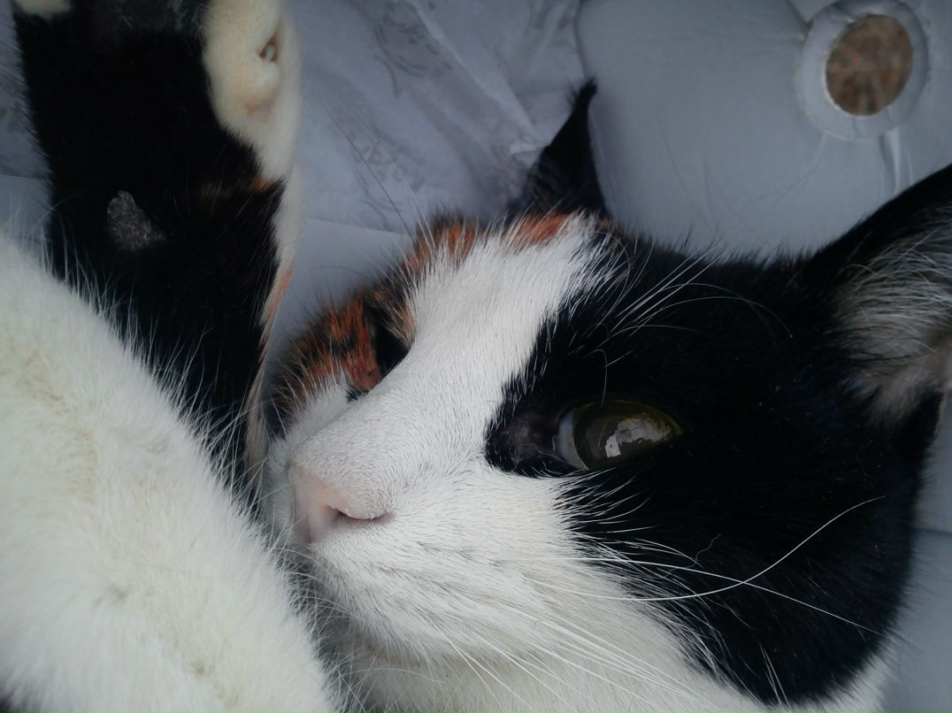 Яна Танасенко | Севастополь