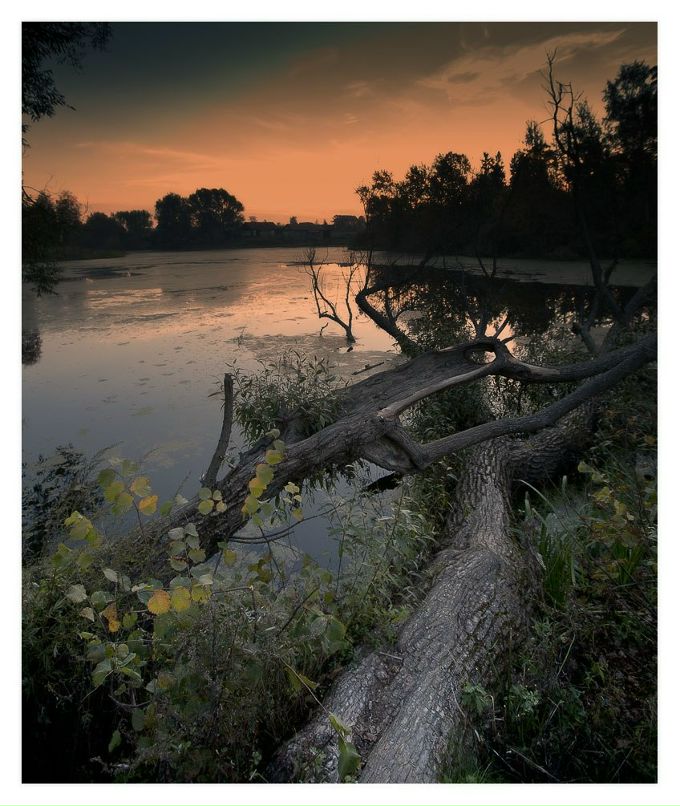 Владимир Klinton | Москва