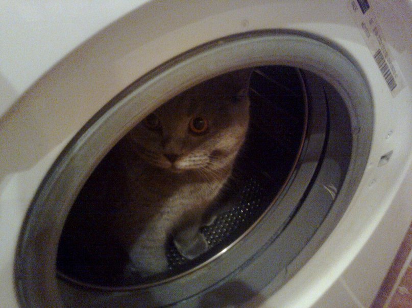 Наталия Носова | Санкт-Петербург