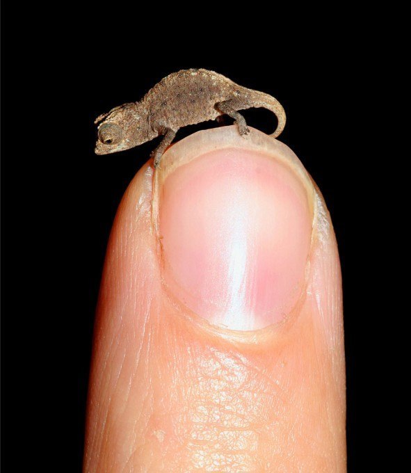 Александр Плотников | Eivissa