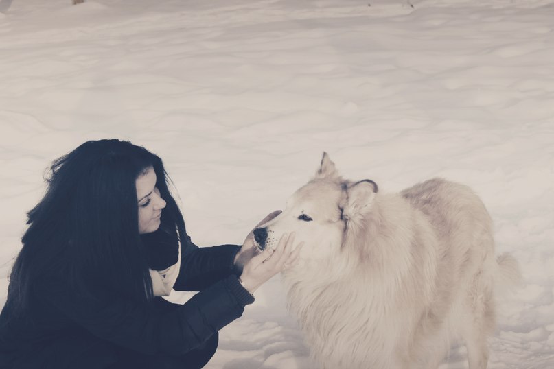 Аня Карпин | Львов