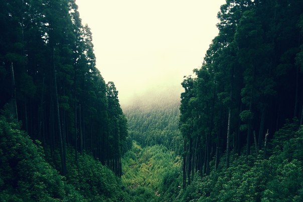 Серж Лихварь | Киев