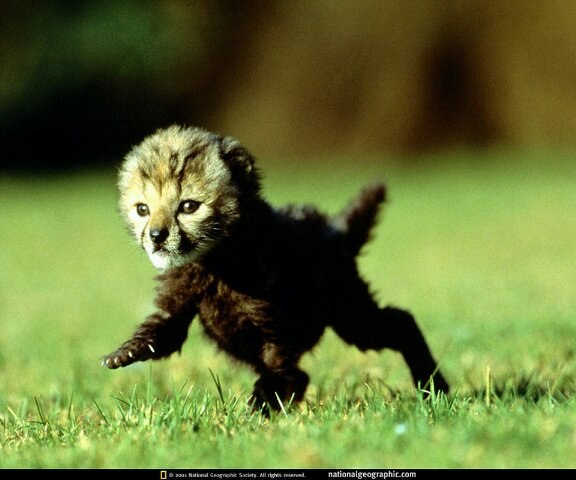 Михаил Никончук | Москва