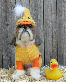 Рита Виноградова | Донецк