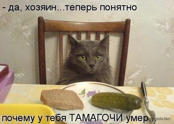 Екатерина Радаева | Самара