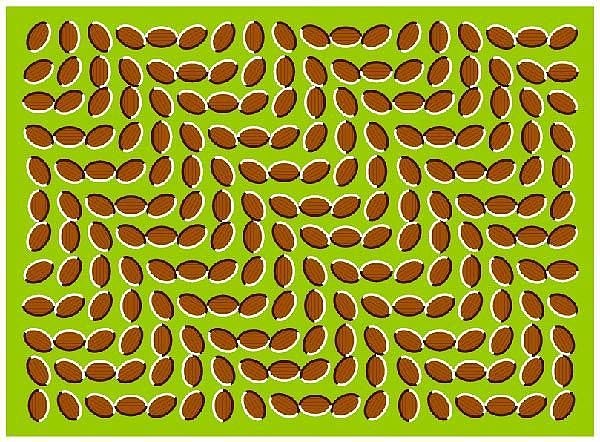 Надежда Кирпишова | Киев