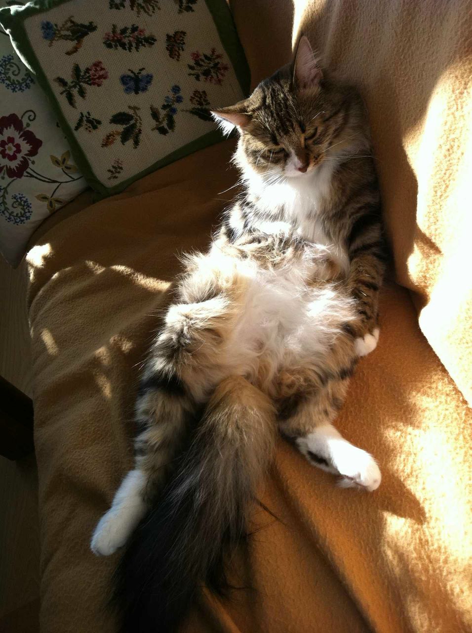 Алексей Косолапов | Москва