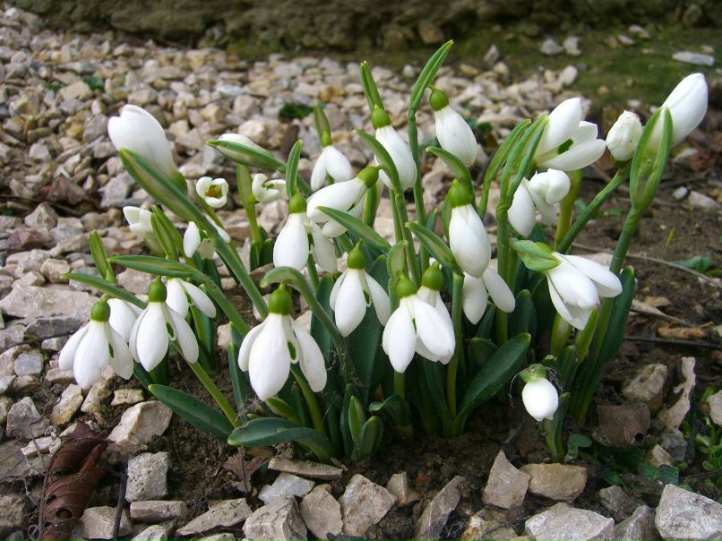 Петр Михалюк | Феодосия