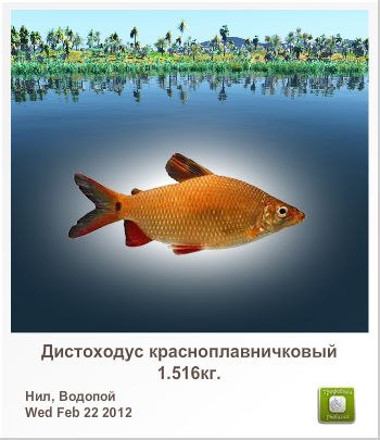 Алексей Веряскин Александрович | Энергодар