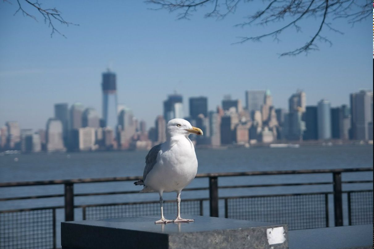 Женя Харченко | Ramat Gan