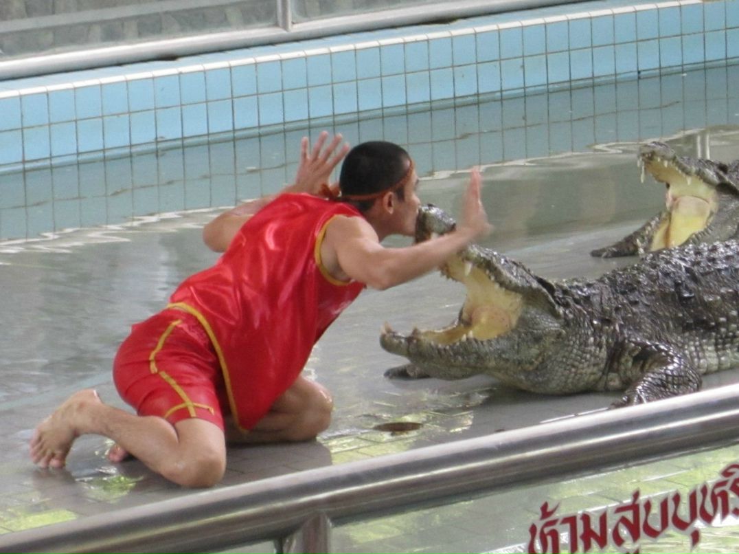 Танюшка Легоньких | Санкт-Петербург