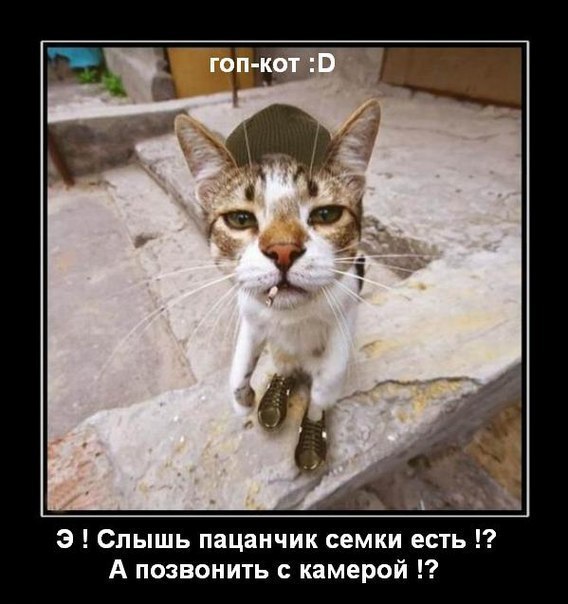 №16, Виктор Серанов, 15.11, Высокополье №16, Виктор Серанов, 15.11, Высокополье