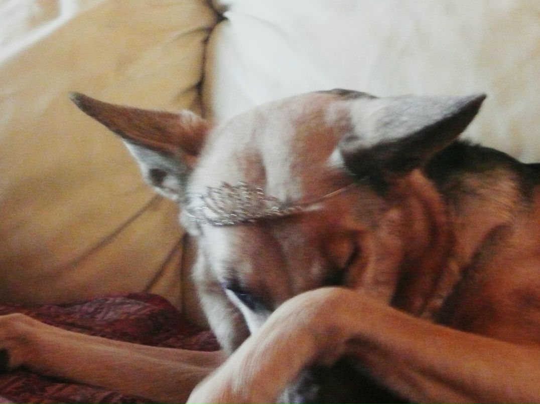 Маня Проворова | Москва