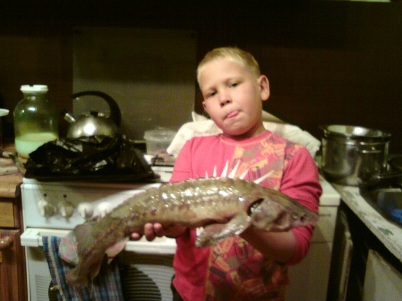 Влад Соколов | Полевской