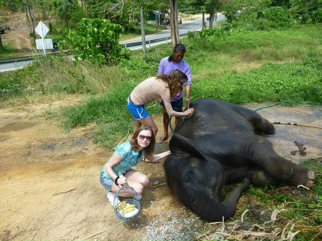 Надежда Баклыкова | Paris
