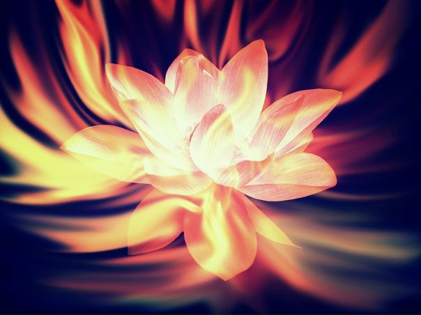 №41, Татьяна Цирульник, Санкт-Петербург №41, Татьяна Цирульник, Санкт-Петербург