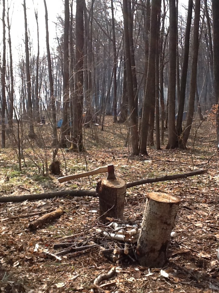 Денис Давыдов | Заречный